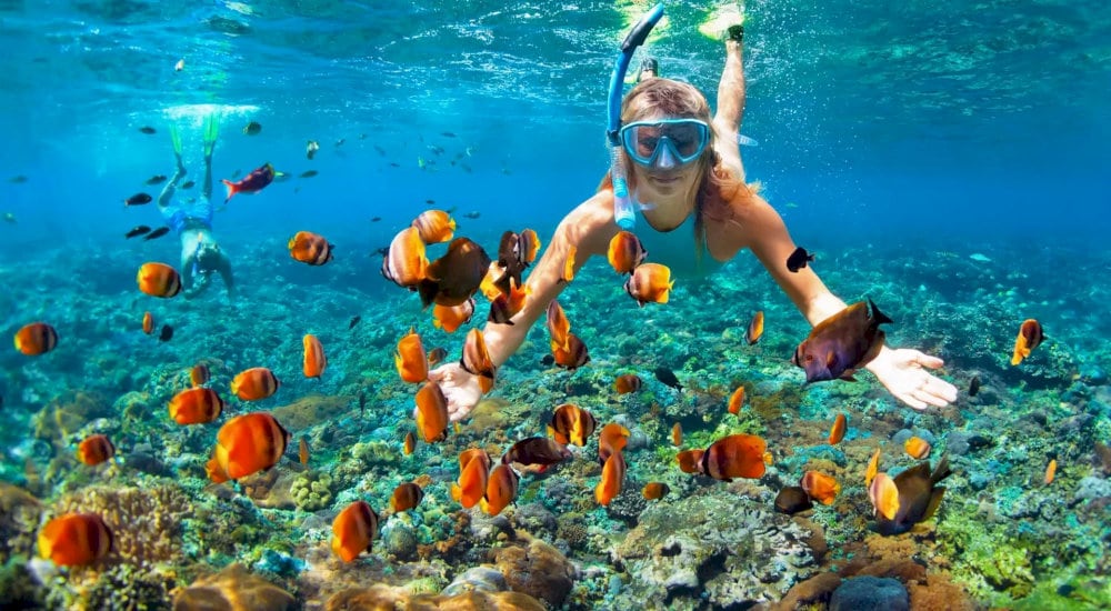 Early morning (07:00 - 09:00 AM) offers the best underwater visibility for diving and snorkeling activities